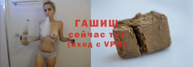 стаф Арсеньев